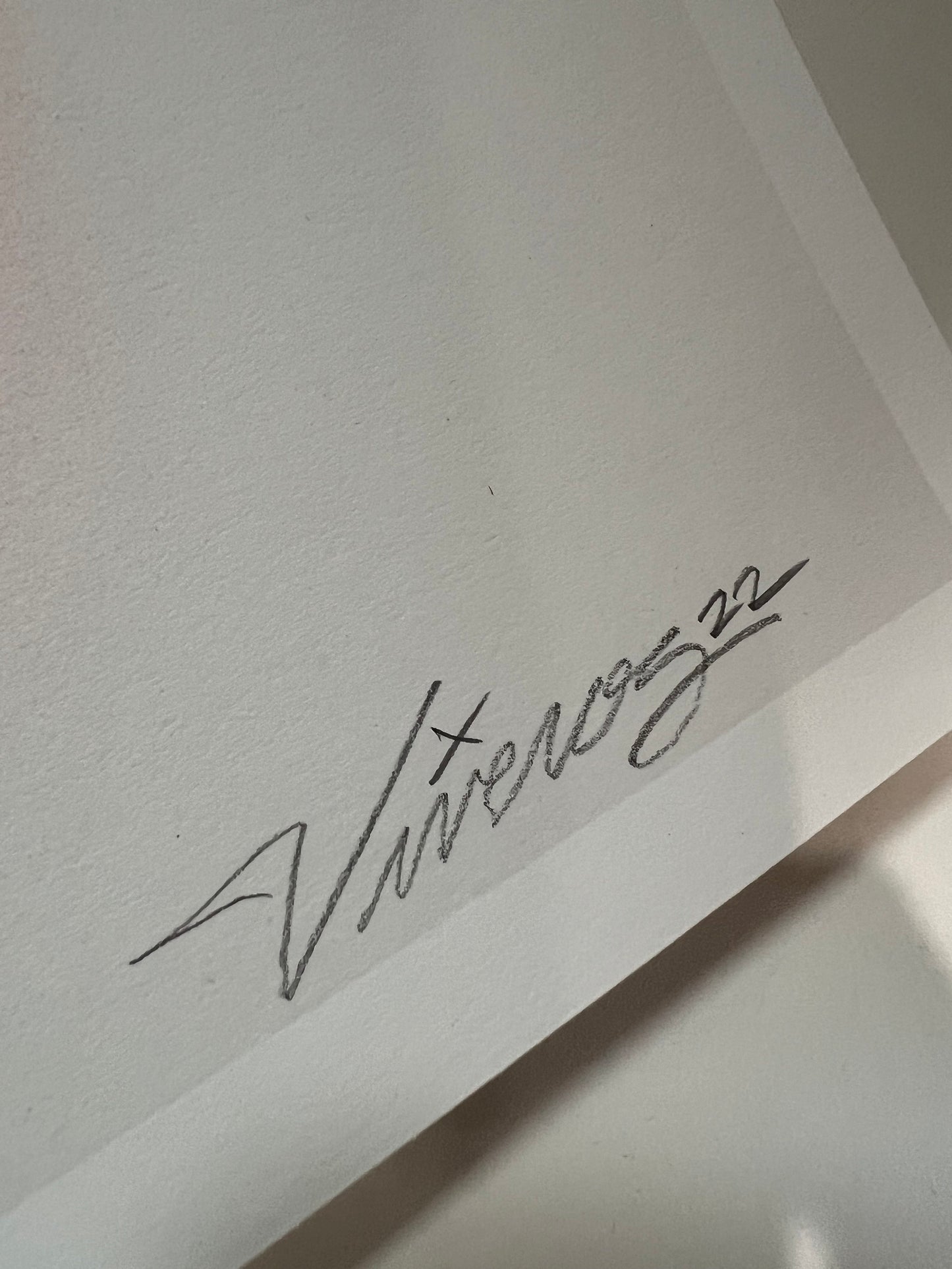 'SKATE and DESTROY' 2022 AP Artist Proof #3